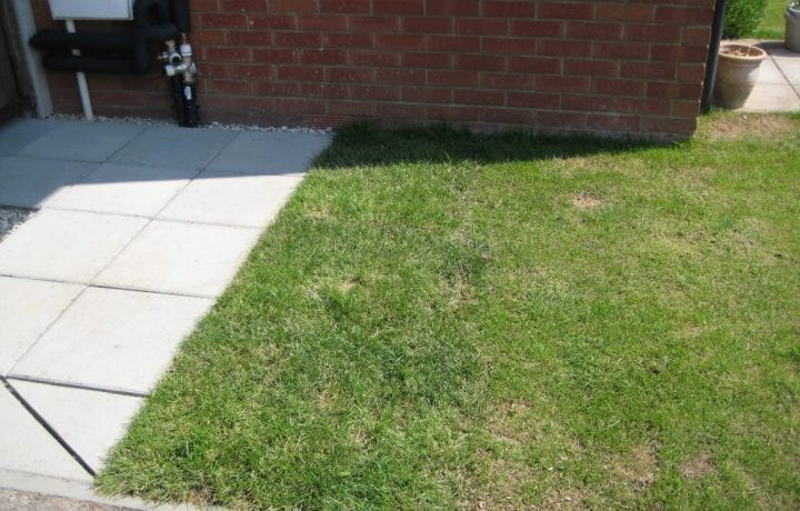 Ground Source Review: Flagship, Fressingfield -The borehole is barely visible in the grass, which has been re-turfed and paving slabs relaid.
