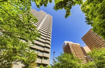 Tower blocks with trees - Kensa Consulting